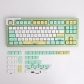 Strange Cat 104+26 XDA profile Keycap PBT Dye-subbed Cherry MX Keycaps Set Mechanical Gaming Keyboard